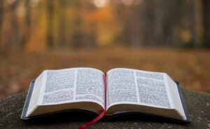 Open Bible resting outdoors with autumn trees in soft focus behind it, symbolizing faith, reflection, and hope in God’s Word.